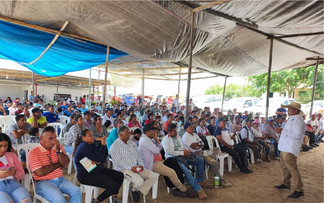 programa_img_09