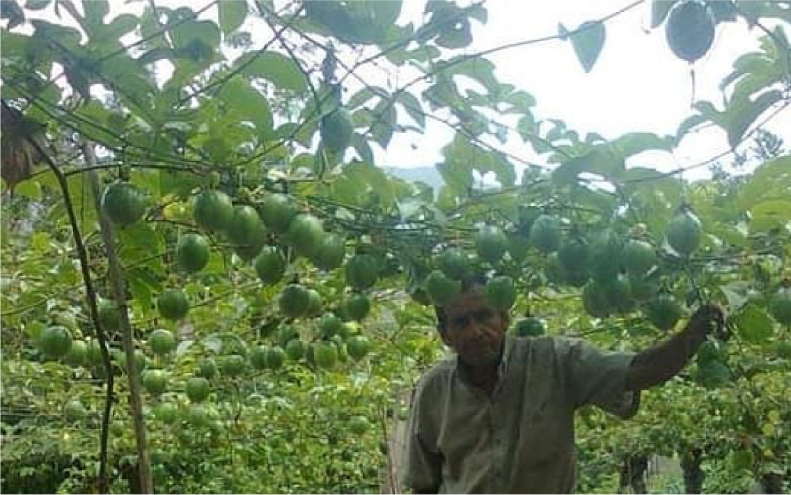 nuestros_agricultores_15