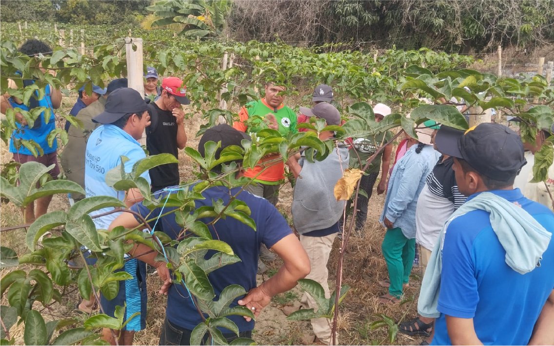 nuestros_agricultores_18