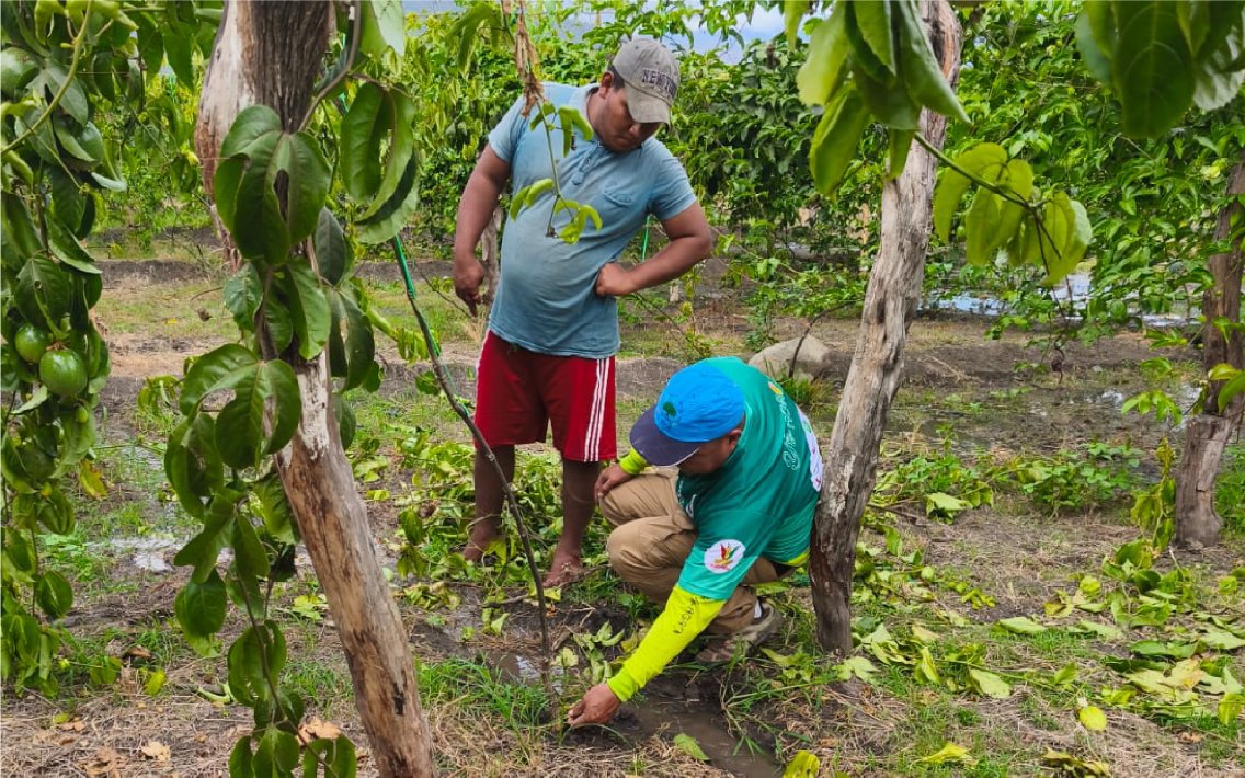 nuestros_agricultores_21