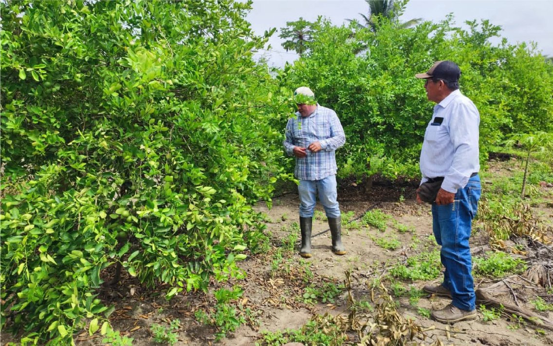 nuestros_agricultores_22