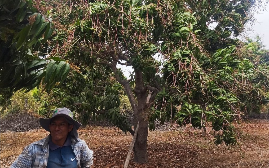 nuestros_agricultores_7