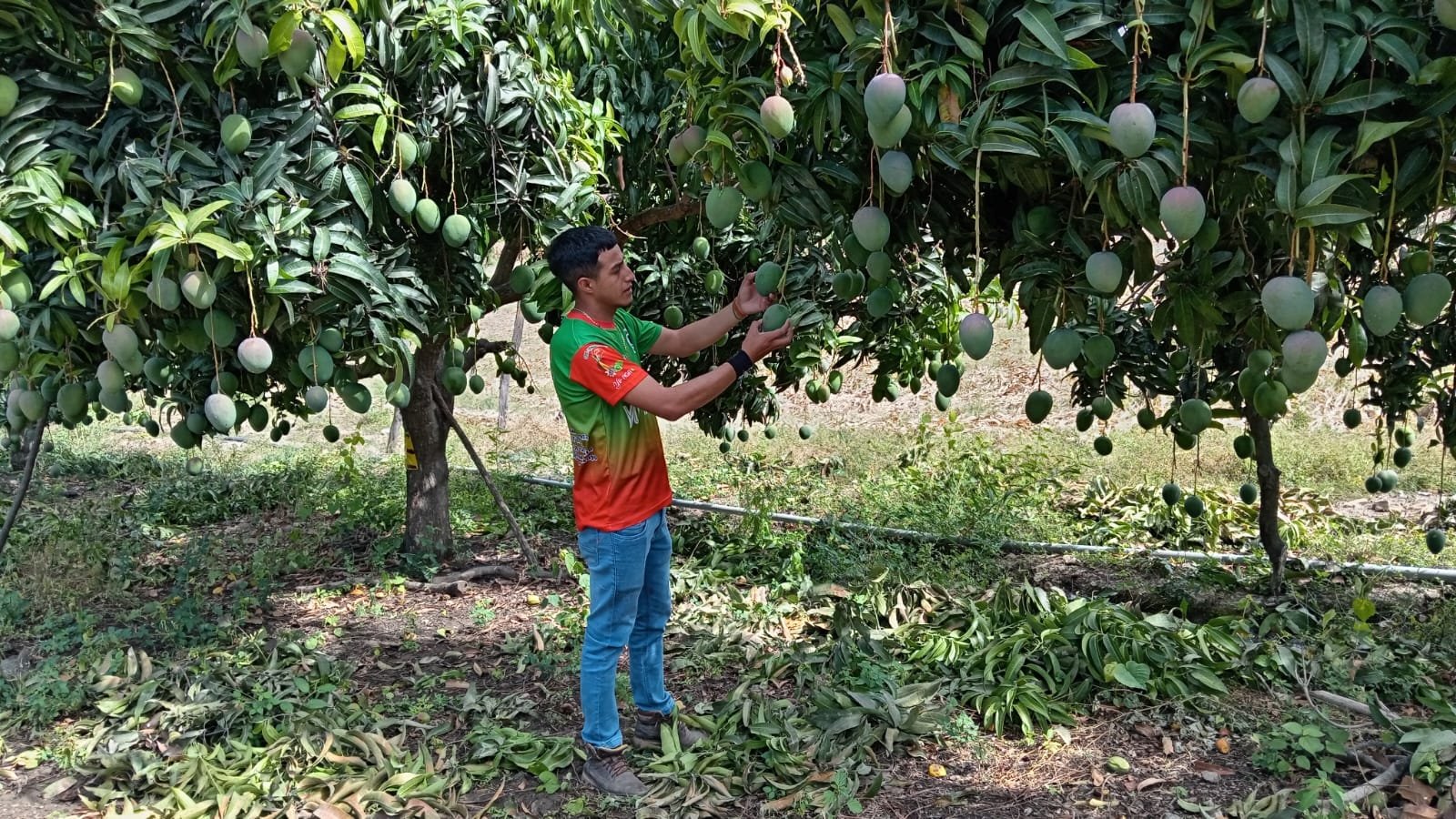 WhatsApp Image 2026-01-23 at 2.33.15 PM (1)