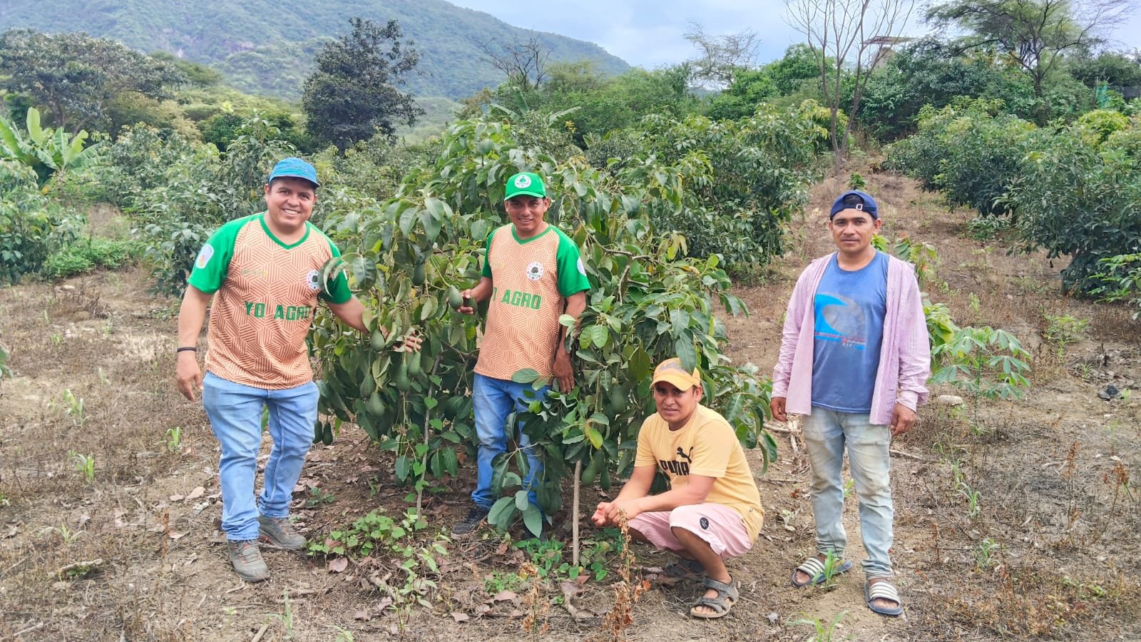 WhatsApp Image 2026-02-12 at 10.10.29 AM (2)