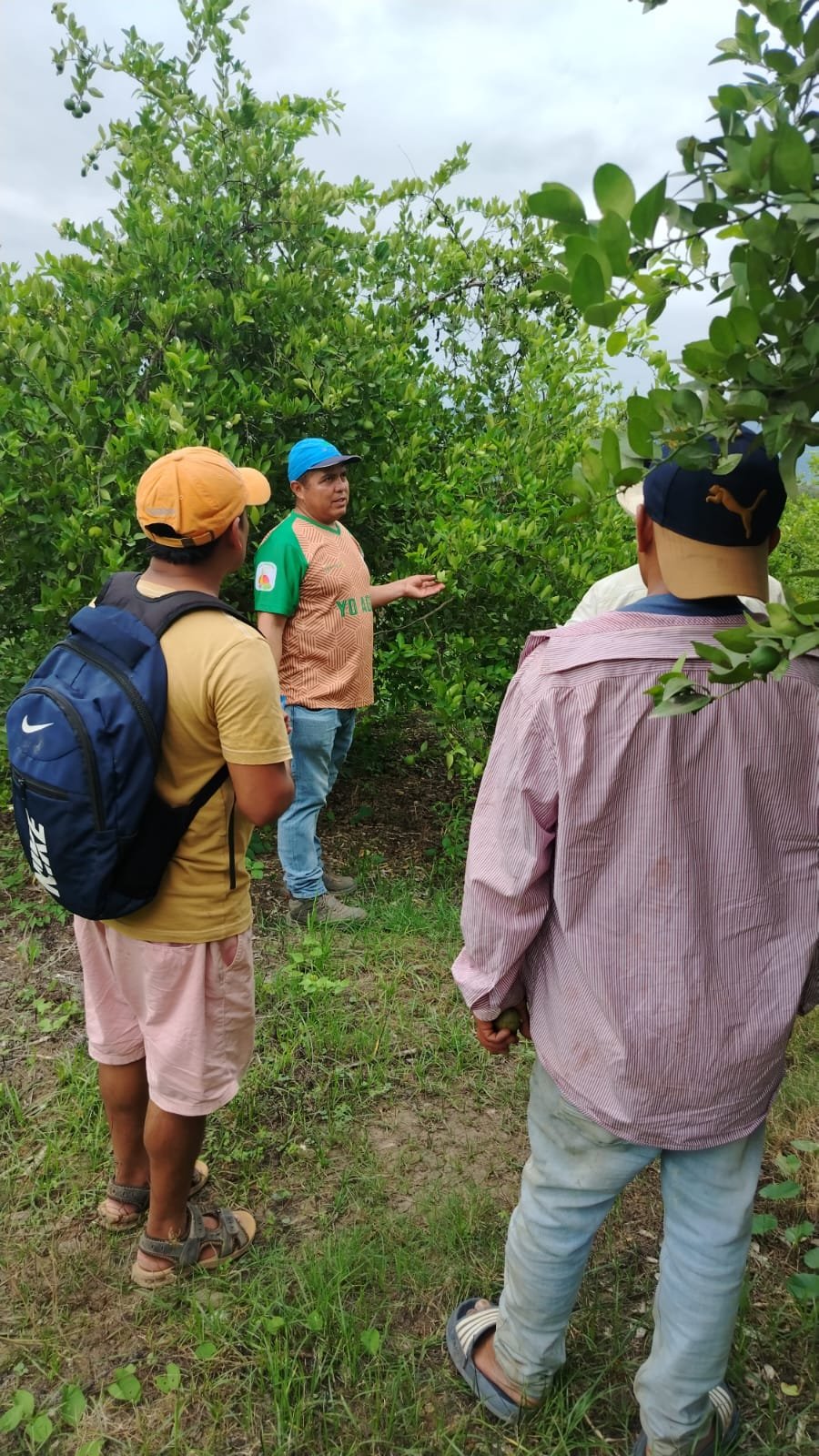 WhatsApp Image 2026-02-12 at 10.15.48 AM