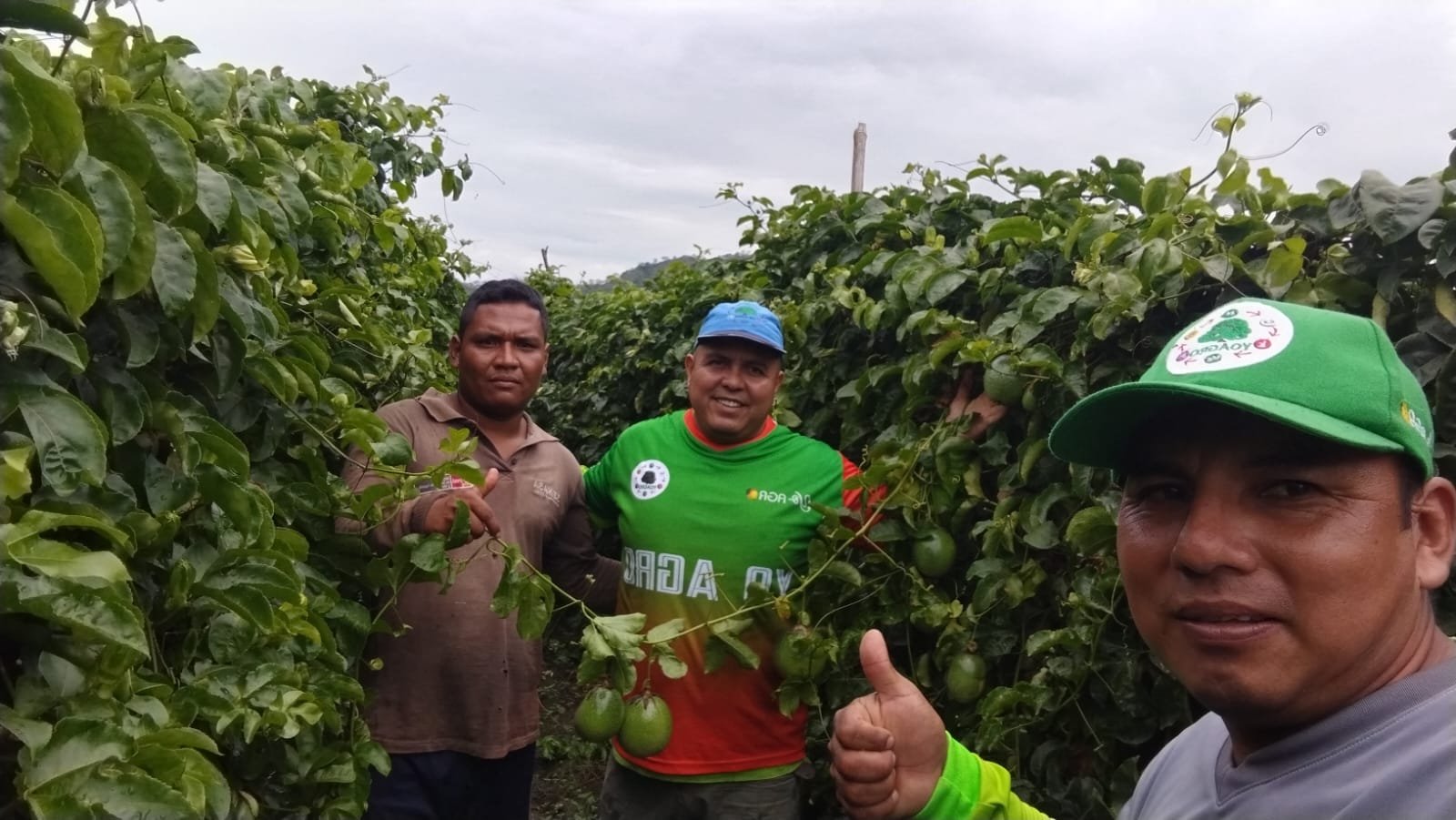 WhatsApp Image 2026-02-13 at 1.27.57 PM (1)