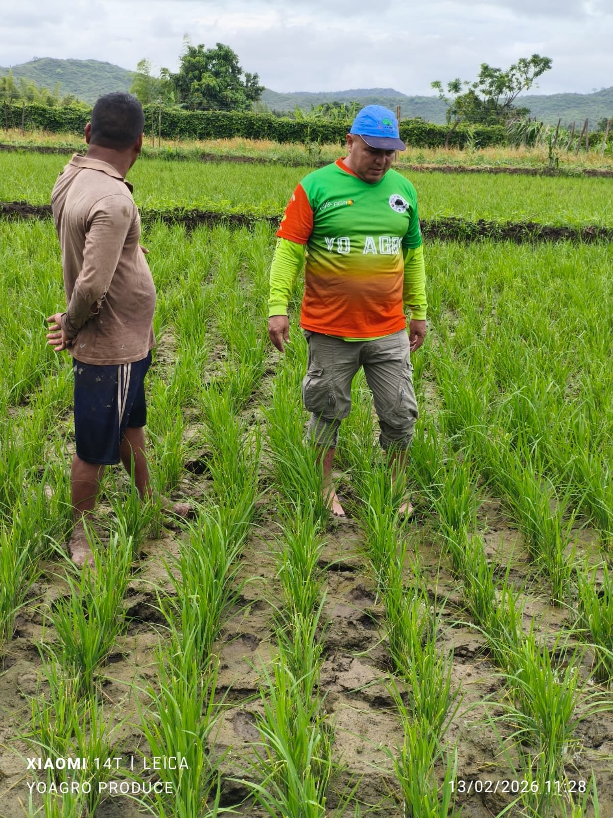 WhatsApp Image 2026-02-24 at 4.03.17 PM